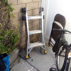 Gorilla Ladder 25'
