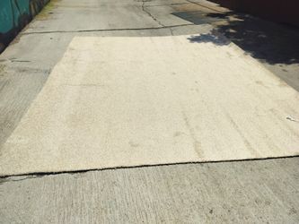 Light Carpet 12'×10'  And Padding 