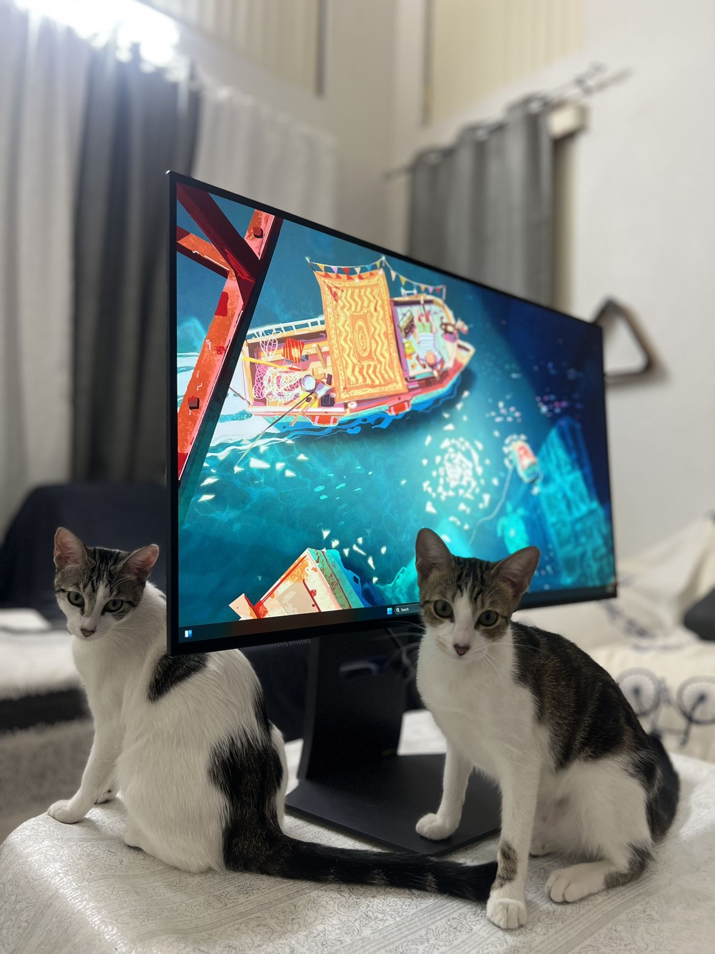LG OLED Dual Mode 4k/240hz,1080p 480hz Trades Accepted 