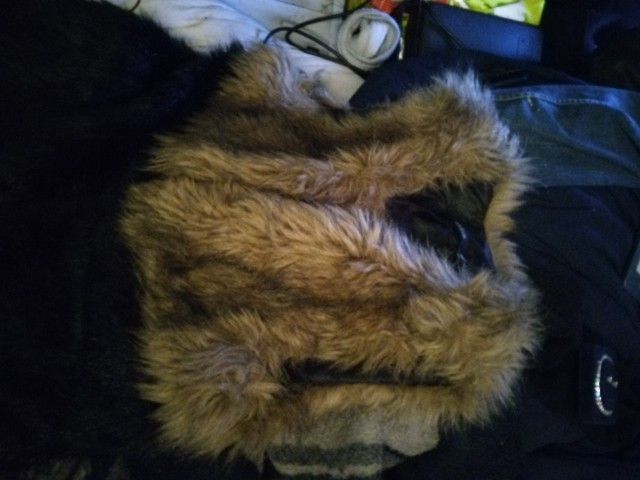 Black Vest Furry