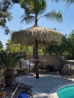 12ft Palapa