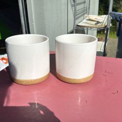 Pair of Pots