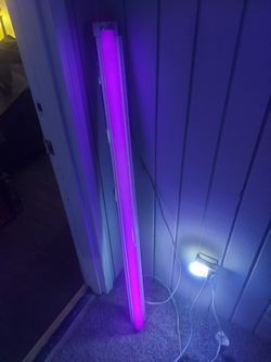 Black Light