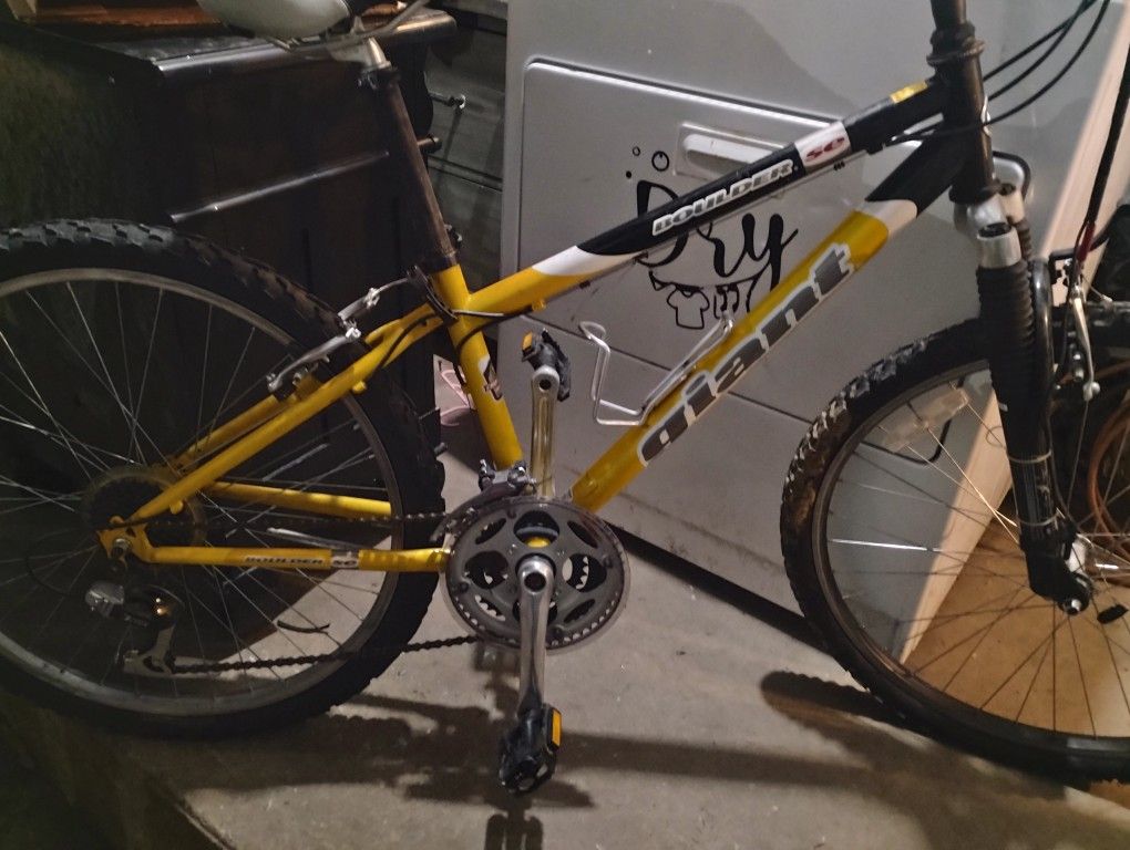 Giant Mt. Bike