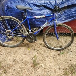 Bicycle 