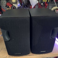 Pioneer Speaker s-p340a