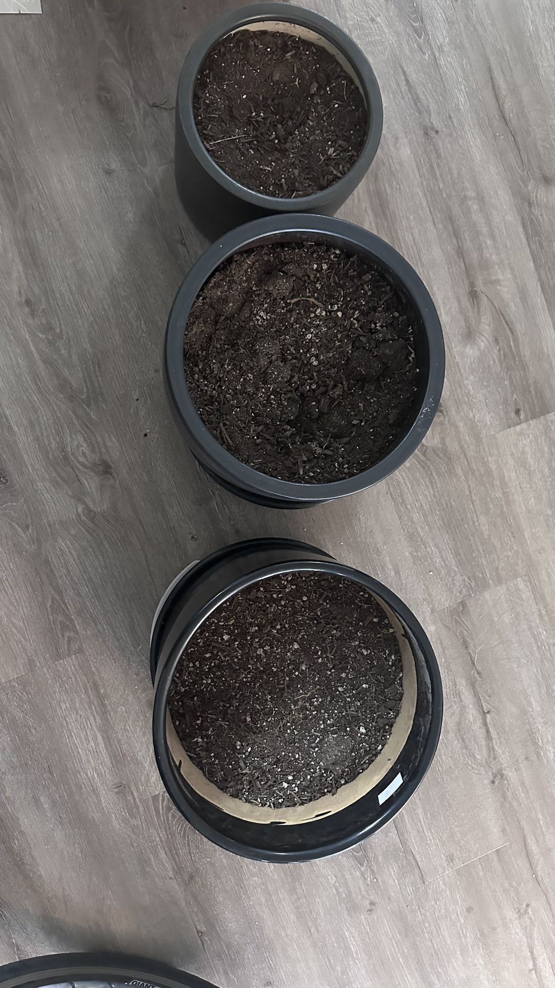 Ceramic Type Plant Pots