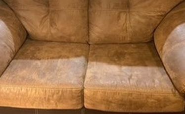 Loveseat $100