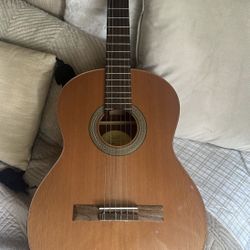 Guitar