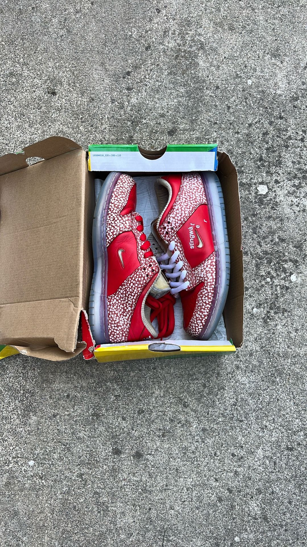 Nike Dunk Low Sb Stingwater Magic Mushroom