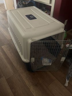 Kennel