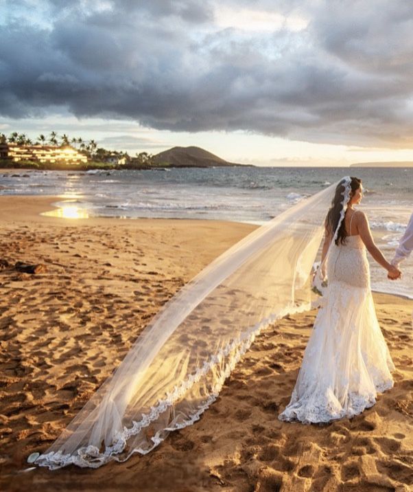 Wedding Dress With Veil