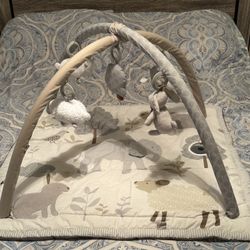 Pottery Barn Animal Friends Classic Activity Gym for Newborns Toddlers.
