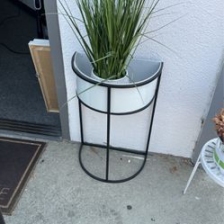 Plant Holder And Plant 