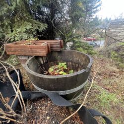 Two Big Barrel Planters And Garden Soil