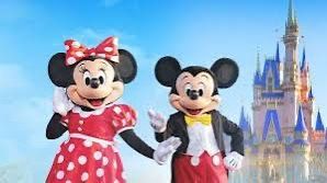Disney All Four Parks Universal Parks Come Experience Them In Christmas Airbnb Packages Too With Parks!!
