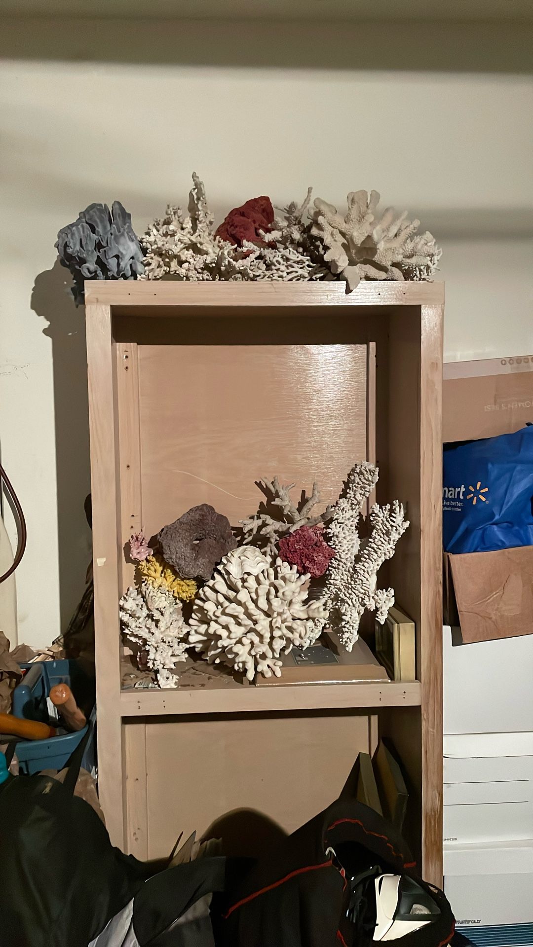 Corals for Sale - Aquarium use or decoration 
