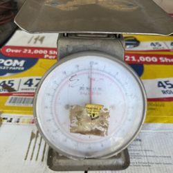 Metal Scale