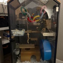 Chinchilla Enclosure