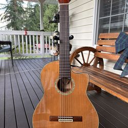 Guitar