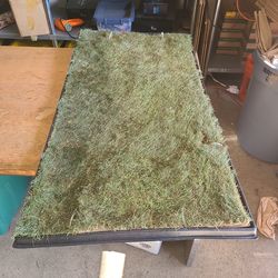 Indoor Grass mate Doggielawn