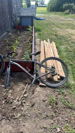 SCHWWIN 29” Mountain Bikes