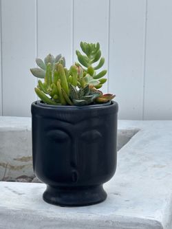 6” black ceramic zen face planter with succulent arrangement