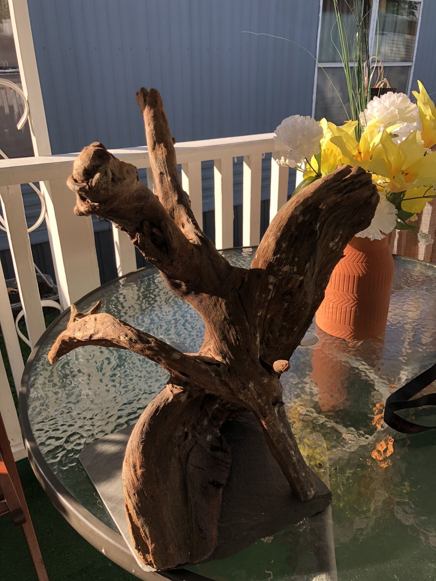 Driftwood aquarium for Sale in Elk Grove Village, IL OfferUp