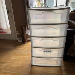 5 Drawer Plastic storage $50 