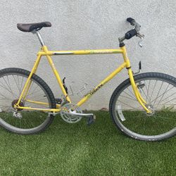 Vintage 80’s GT Timberline mountain bike $250