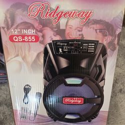 Ridgeway 12"Speaker