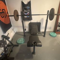 Weight Bench And Adjustable Dumbbell Set OBO 