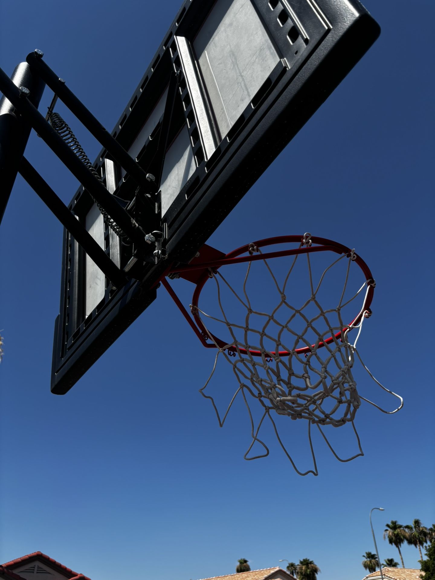 Lifetime Basketball Hoop