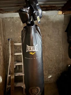 Everlast boxing bag and gloves.