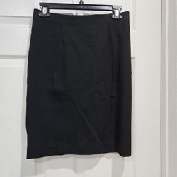 Ann Taylor Pencil Skirt NWOT 