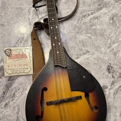 Mandolin