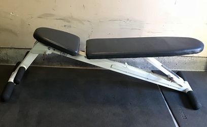 Body gear 2025 bench