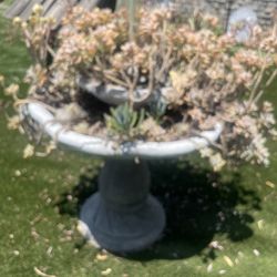 Fountain Planter