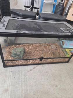 Reptile aquarium