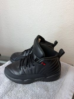 Air Jordan 12 retro