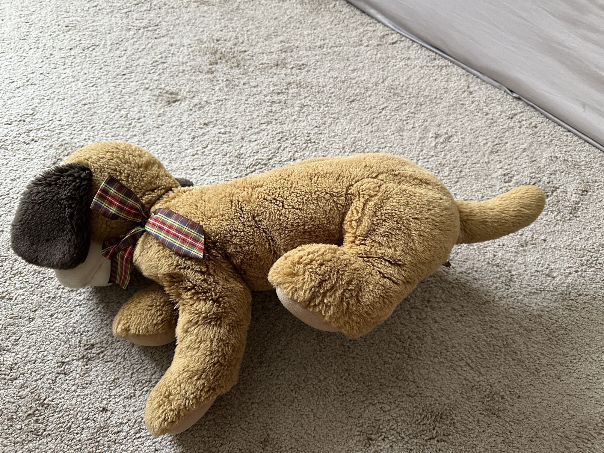 Plush Dog