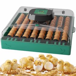 Shaledig Incubators for Hatching Eggs, 72 Eggs Hatching Incubator with Automatic Egg Turner & Humidity Control & Digital Temp, 360° Clear View for Chi