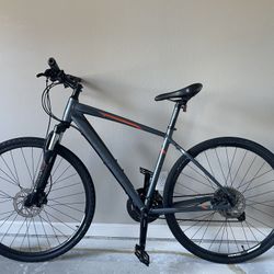 Giant Roam 2 Disc Bike 