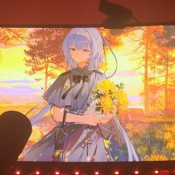 Widescreen Monitor 2560x1080 200hz 1ms