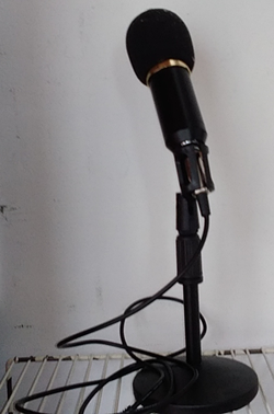 Microphone with combination stand and holder
