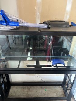 55 gallon aquarium + accessories