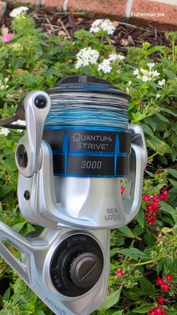 Quantum Strive Fishing Combos/New Braid...