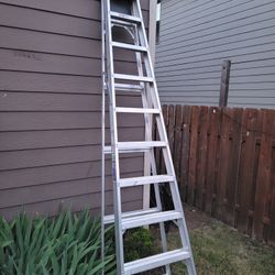 Louisville 10ft Ladder