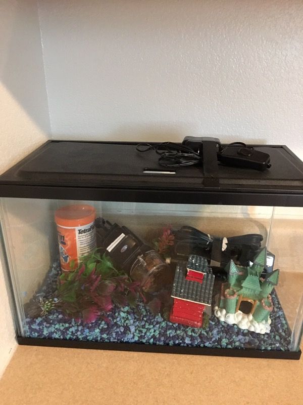 Starter fish tank