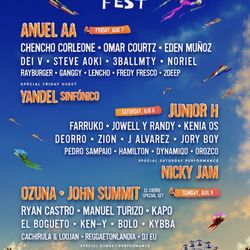 Baja Beach Fest 2026 3-Day VIP Ticket + Baja Bundle
